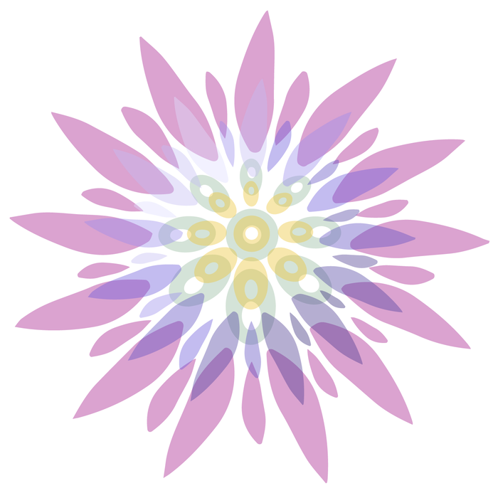We're going to 🌸SUPER BLOOM: A Women's Handpan Gathering in May!