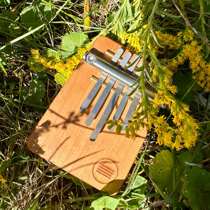 Hokema B5 kalimba in nature | weplaywelltogether