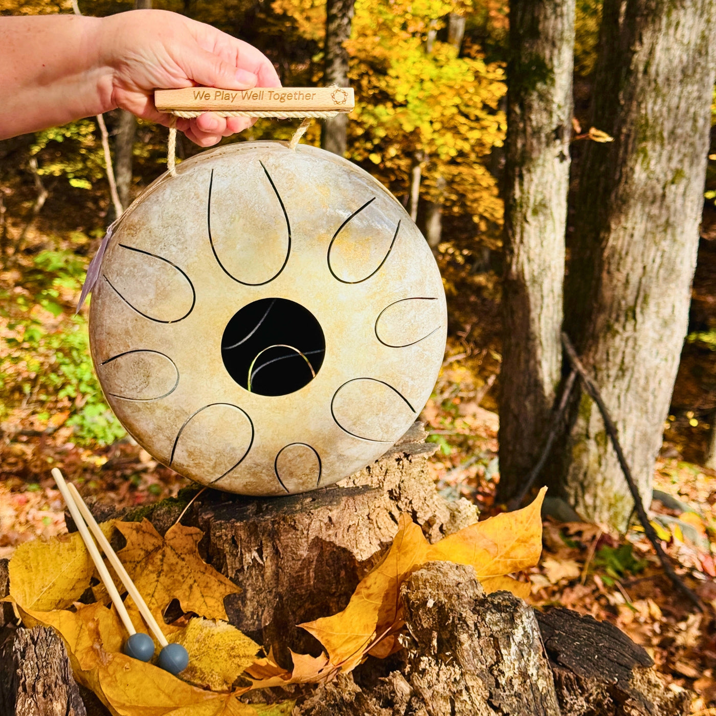 Kigonki metal tongue drum - air collection - with malets in nature | weplaywelltogether