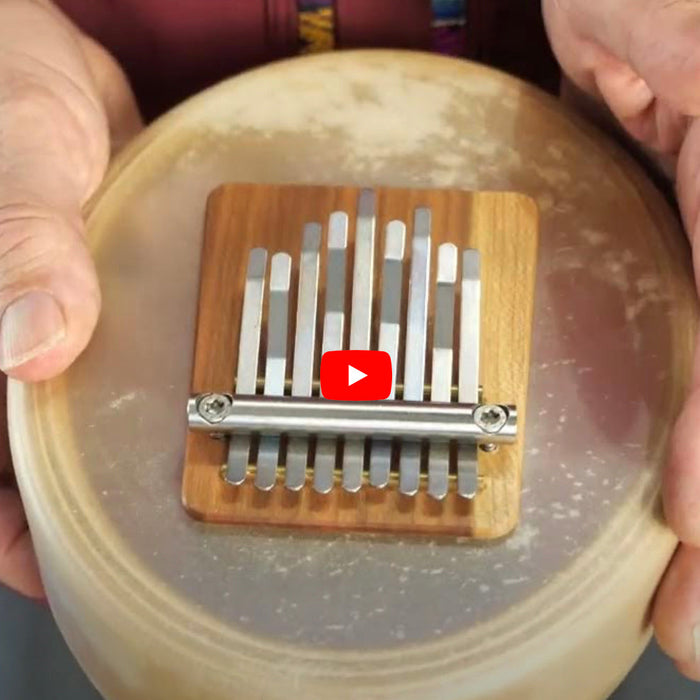 A Fruit Bat Song for Kids on Sansula!