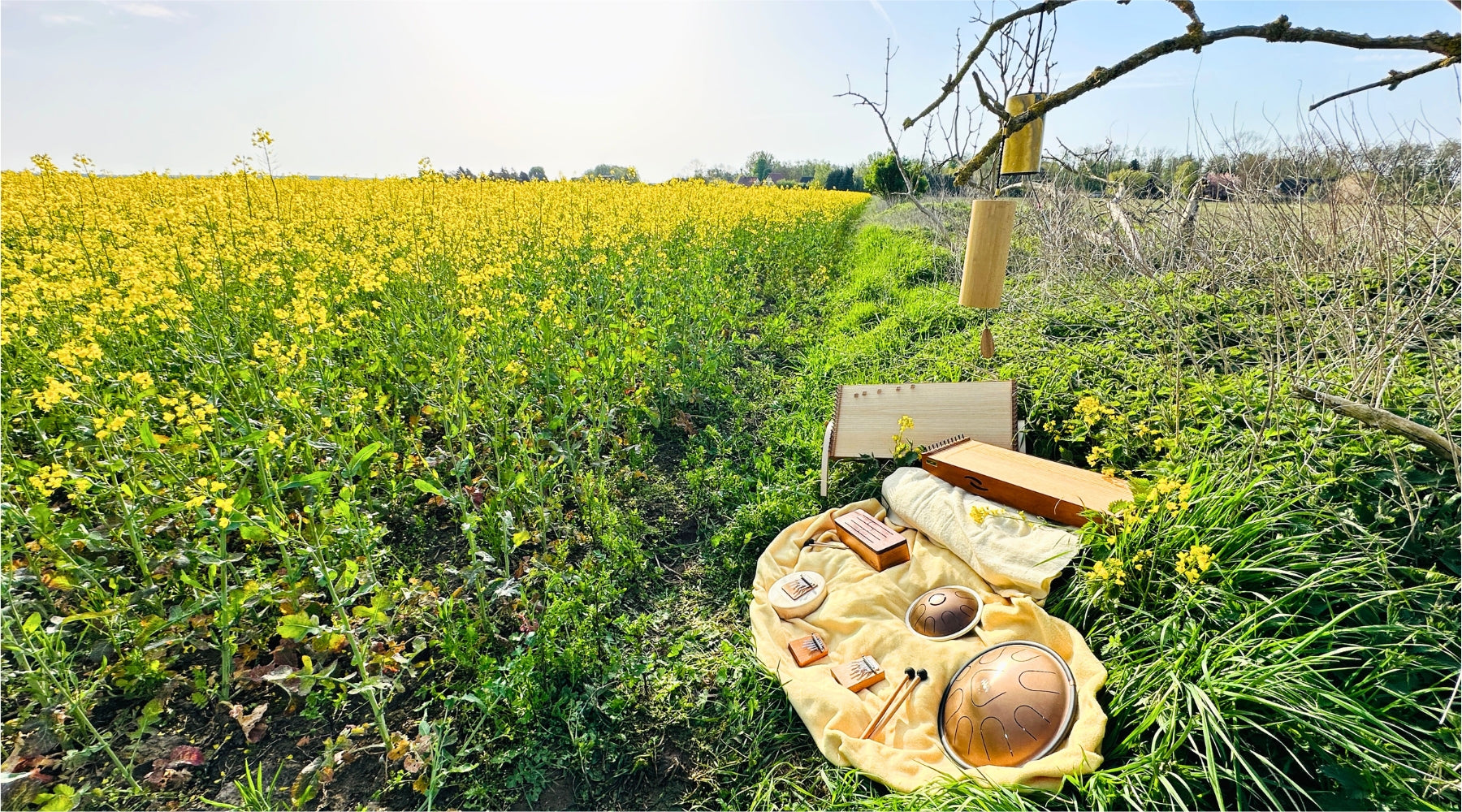 Elemental Soundscapes: AIR COLLECTION