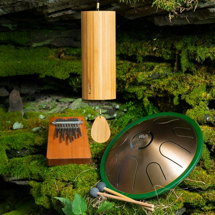 The profound experience of  Soundscape-Jamming