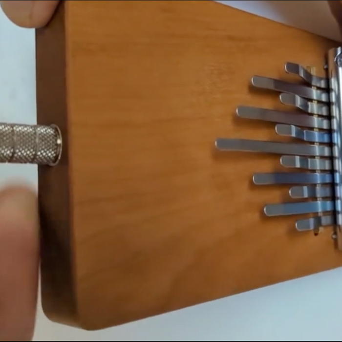 Hokema Kalimba Electro B11 — plug-in kalimba for studio and live performance | weplaywelltogether