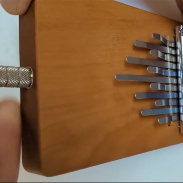Kalimba Electro: Techniques for the Studio and Live Stage!