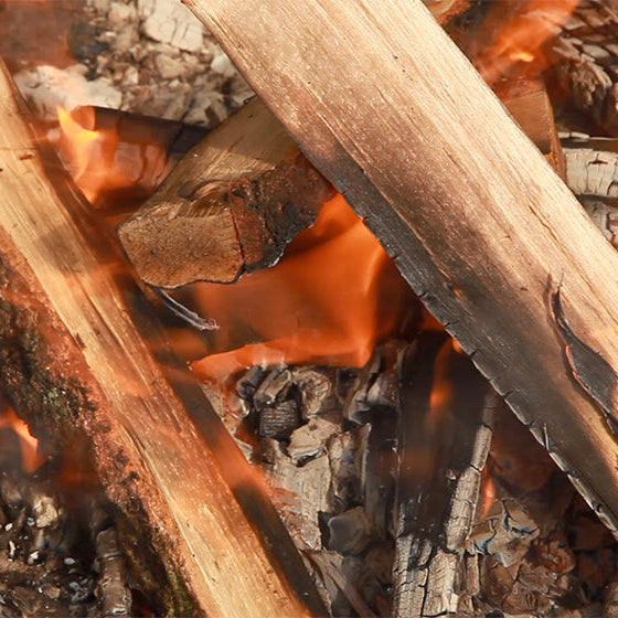 Elemental Soundscapes: feeltone Company IGNIS Video + filming in Germany