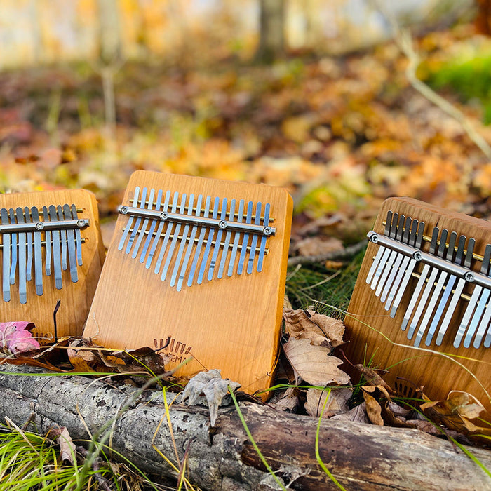"Keyboard" Kalimbas Comparison: B15, B17 + B17-Mini by Hokema