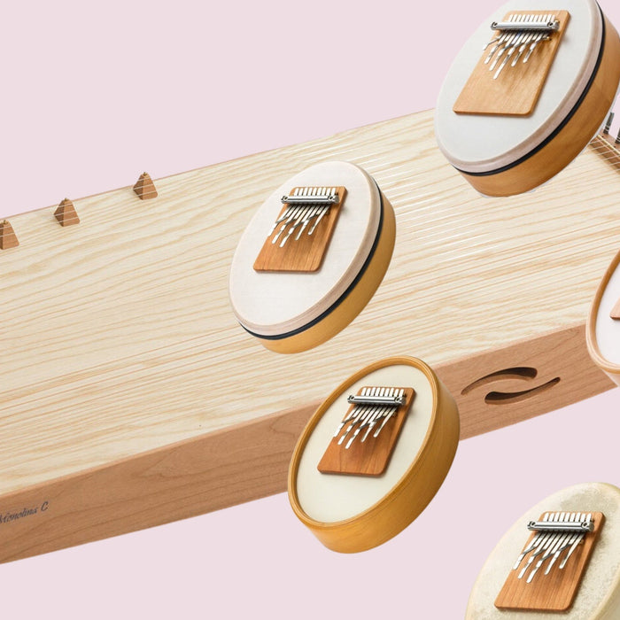 Can you play a Sansula ON a Monochord??