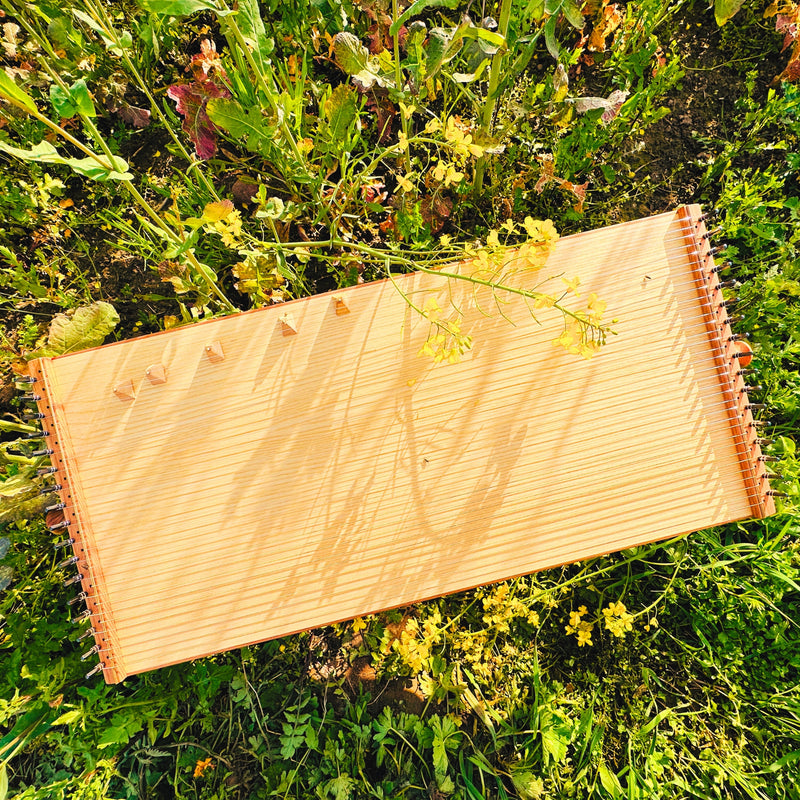feeltone Monolina monochord in nature | weplaywelltogether