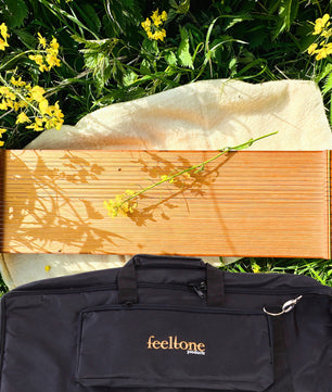 Monolini – Light Body Monochord for Sound Massage