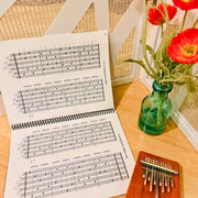 Hokema Sansula instruction book with notes and Hokema B11 kalimba | weplaywelltogether