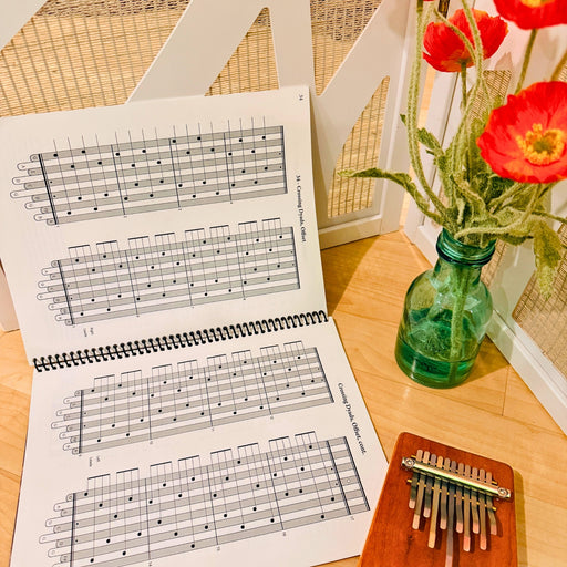 Hokema Sansula instruction book with notes and Hokema B11 kalimba | weplaywelltogether