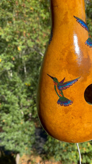 Thunder gourde with hummingbird painting  | Weplaywelltogether