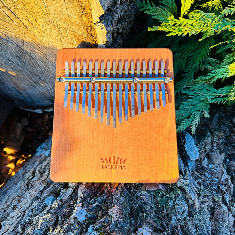 Hokema B17 kalimba in nature | weplaywelltogether