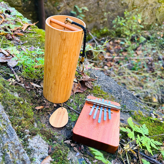 Hokema B5 kalimba in earth and Koshi chime in Terra tunings | Weplaywelltogether