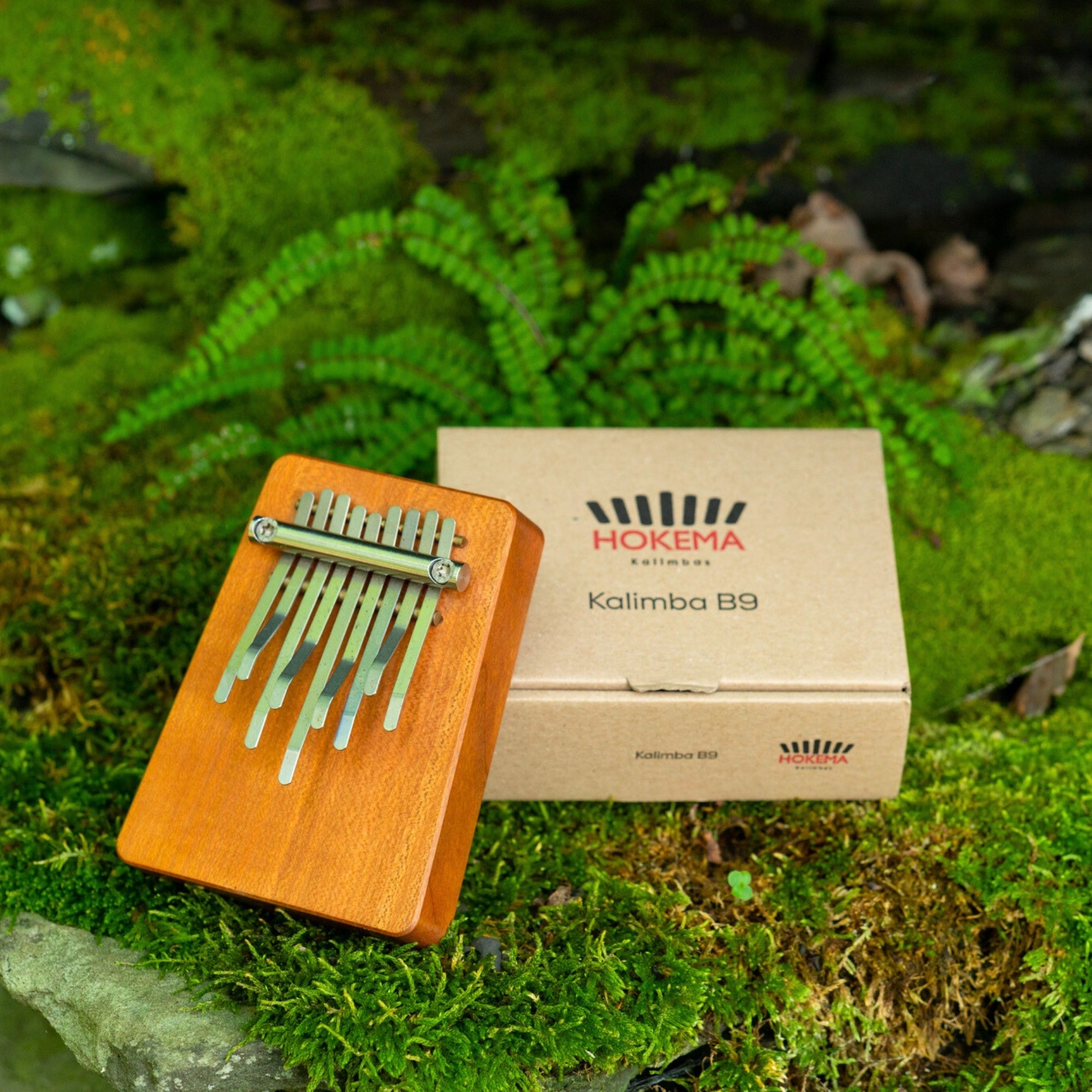 その他 HOKEMA kalimba B17 B17_a.jpg