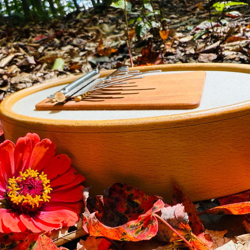 Hokema Sansula Renaissance kalimba with fall leafs | weplaywelltogether