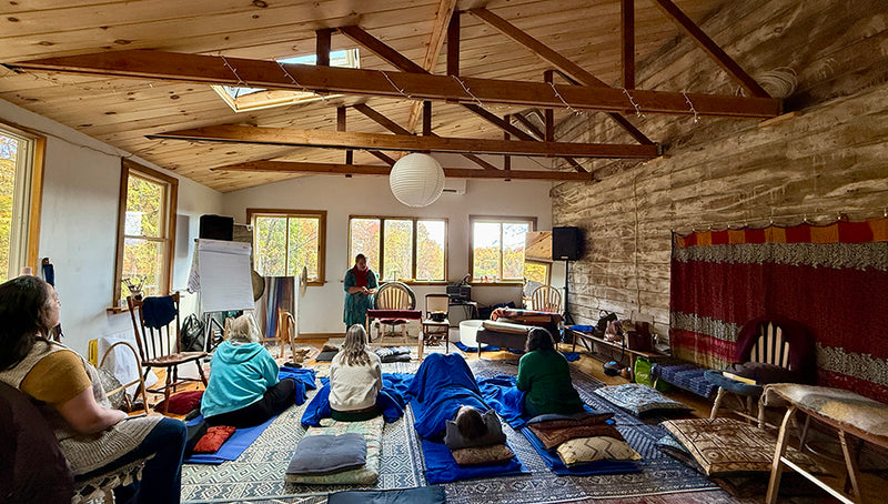 In-Person Monochord Training - Reserve your Spot $100 deposit toward the training fee of $700 per Level ($1400 for Intensive Week)