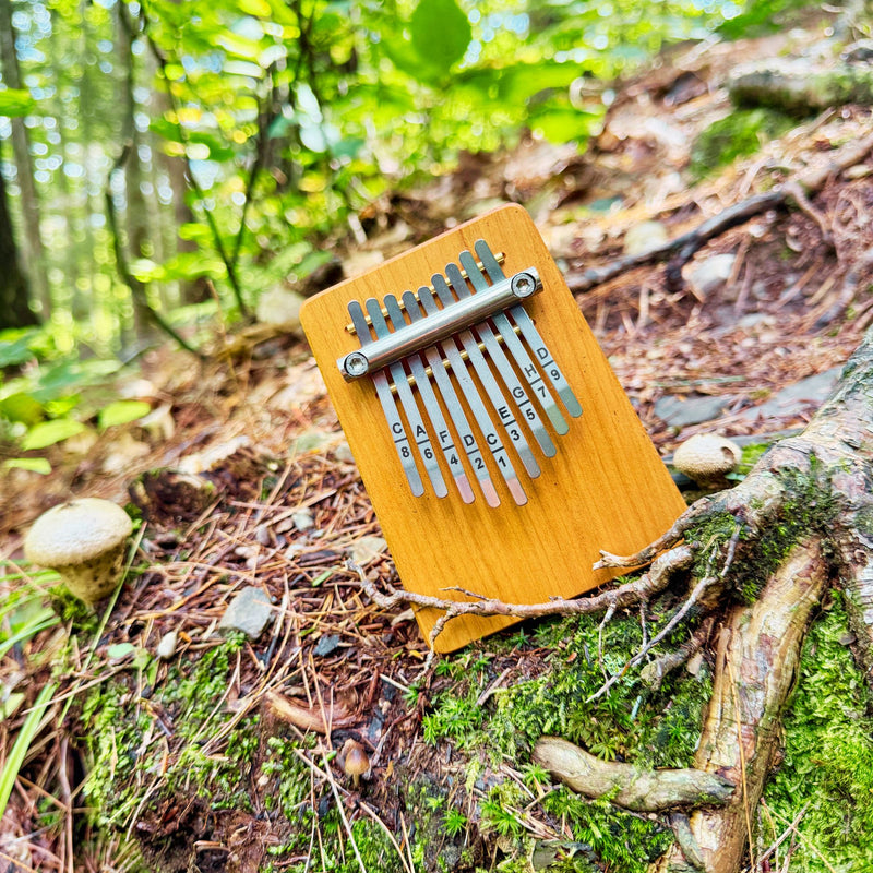 HOKEMA Kids Kalimba – 9-Note Thumb Piano for Children | Handmade in Germany | Perfect First Instrument
