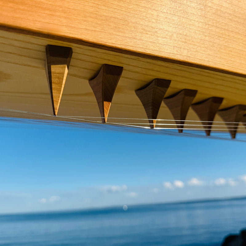 KOTAMO Master Monochord