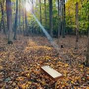 feeltone monolina low C in the nature | weplaywelltogether