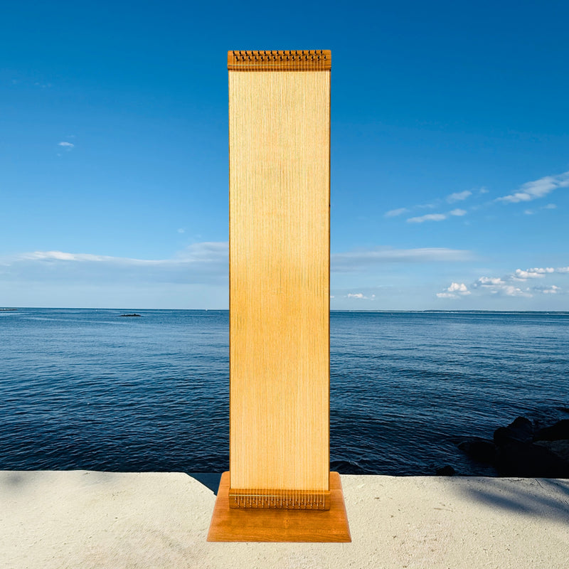 Octave Monochord in D tuning