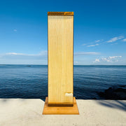 feeltone Tambura Monochord = Octave monochord with a Tambura - double sided by the water | weplaywelltogether