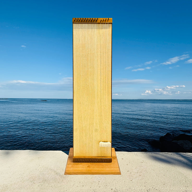 feeltone Tambura Monochord = Octave monochord with a Tambura - double sided by the water | weplaywelltogether