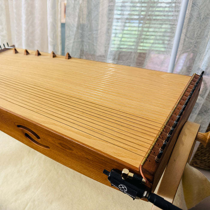 feeltone monochord with pick up | weplaywelltogether