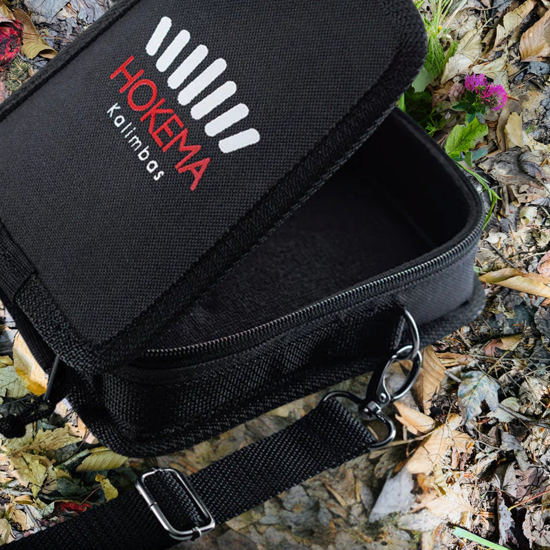 Hokema B15 carrying case | weplaywelltogether