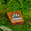 Hokema Kalimba B0 Koshi Terra Tuning |WePlayWellTogether