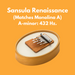Sansula Renaissance kalimba from Hokema with A-minor tuning matching Monolina A | weplaywelltogether