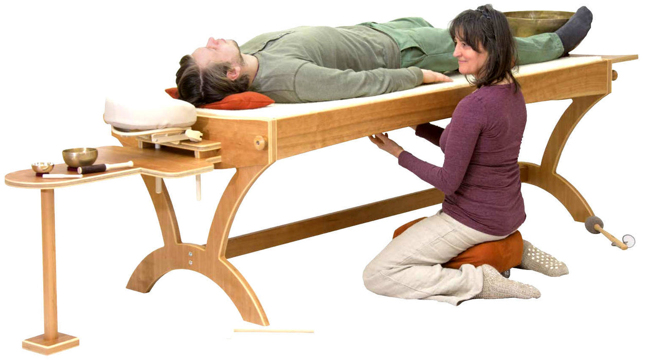 feeltoneusa monchord Table - therapy monochord - monochord bed and accessories for the bed