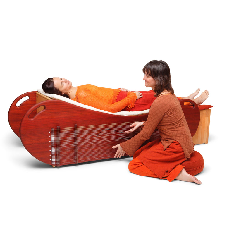 feeltone Padouk soundwave combine the power of monochord and tongue drum | We Play Well Together