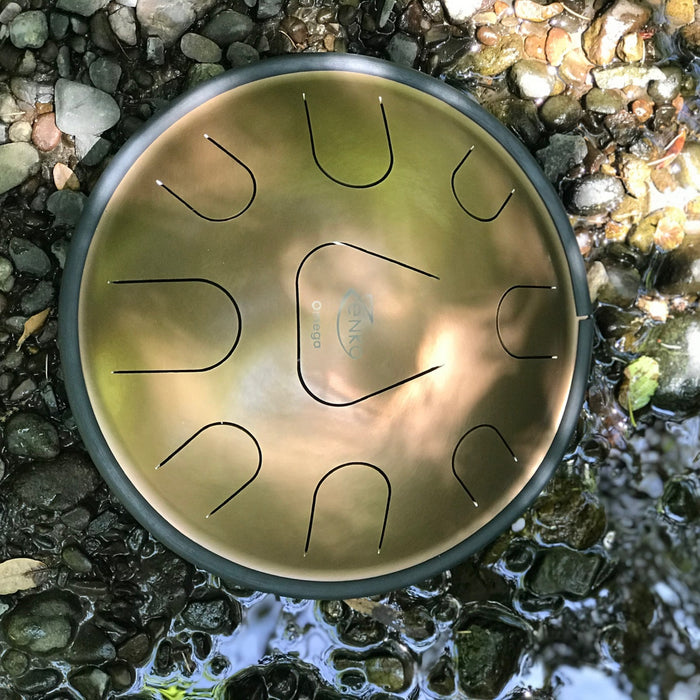 Zenko Equinox Steel Tongue Drum