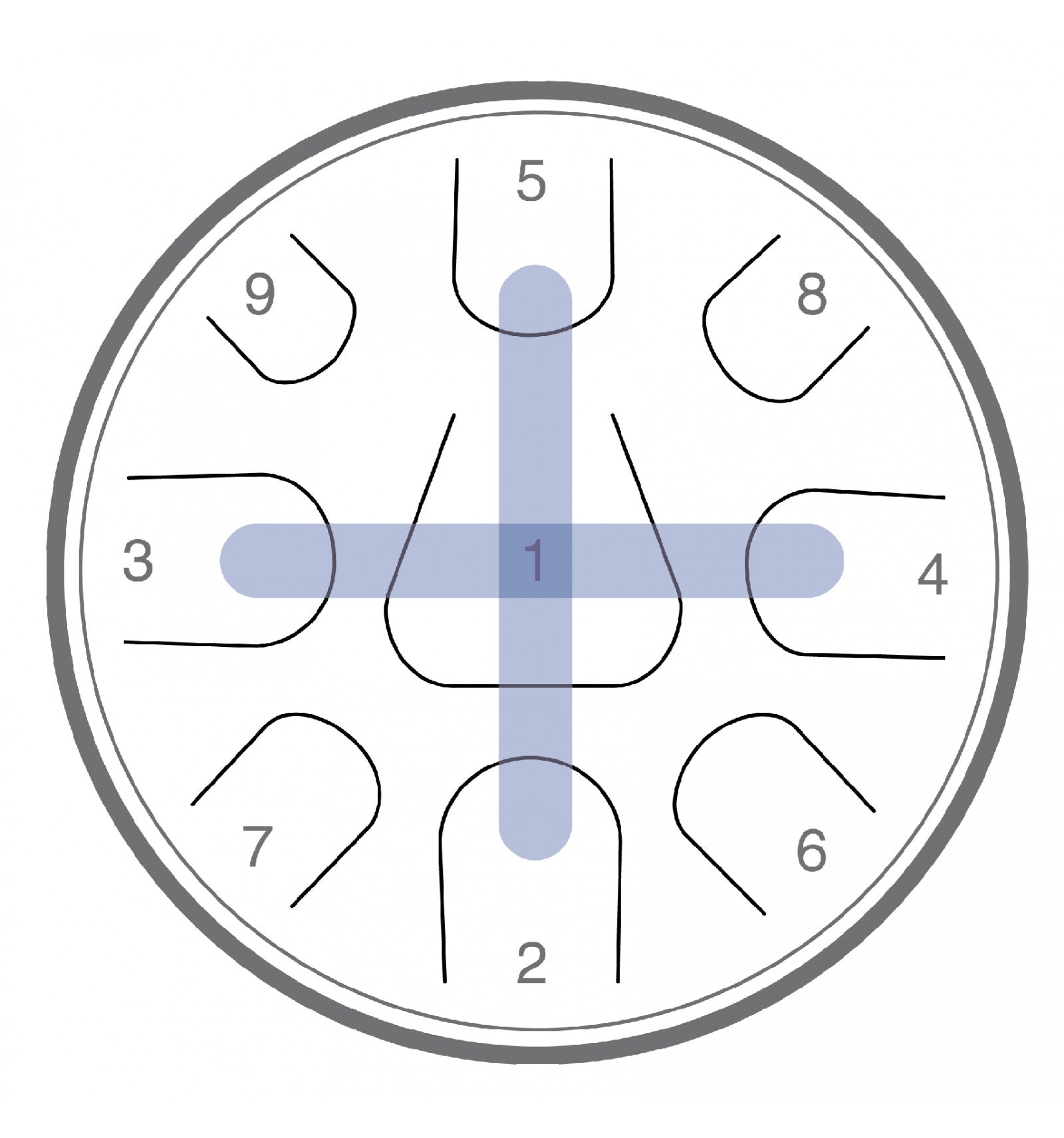 スチールパン　Zenco inonian Zenko Ionian Steel Tongue Drum | WePlayWellTogether